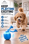 Interactive Smart Dog Toy Ball