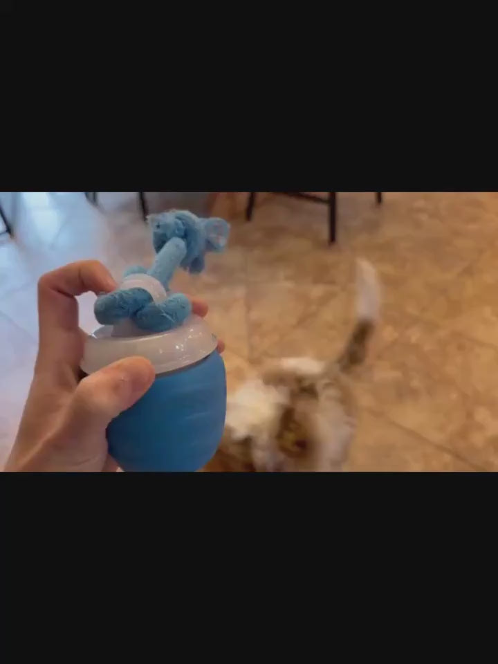 Interactive Smart Dog Toy Ball