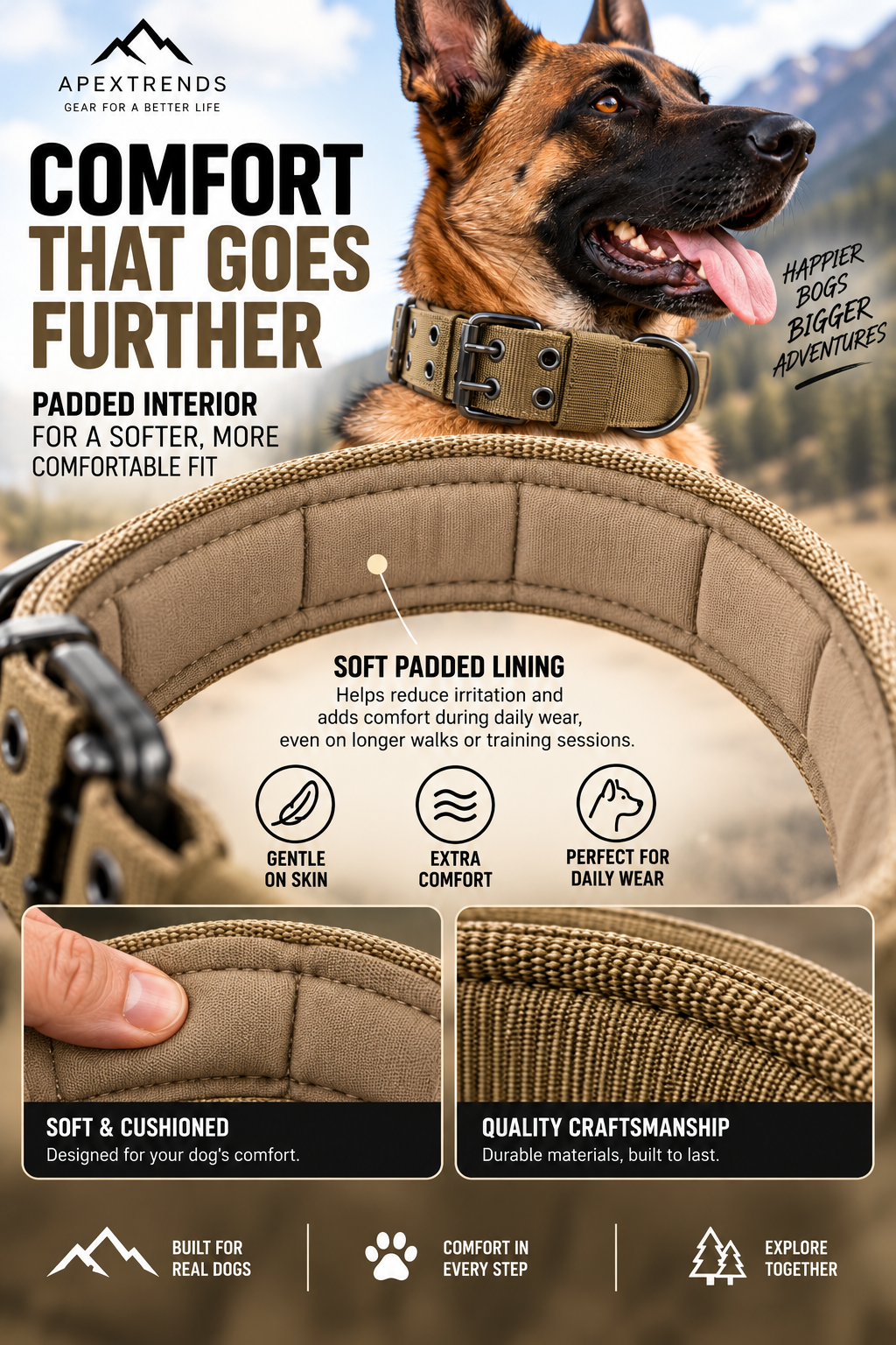 Heavy-Duty Nylon Dog Collar with Metal Buckle