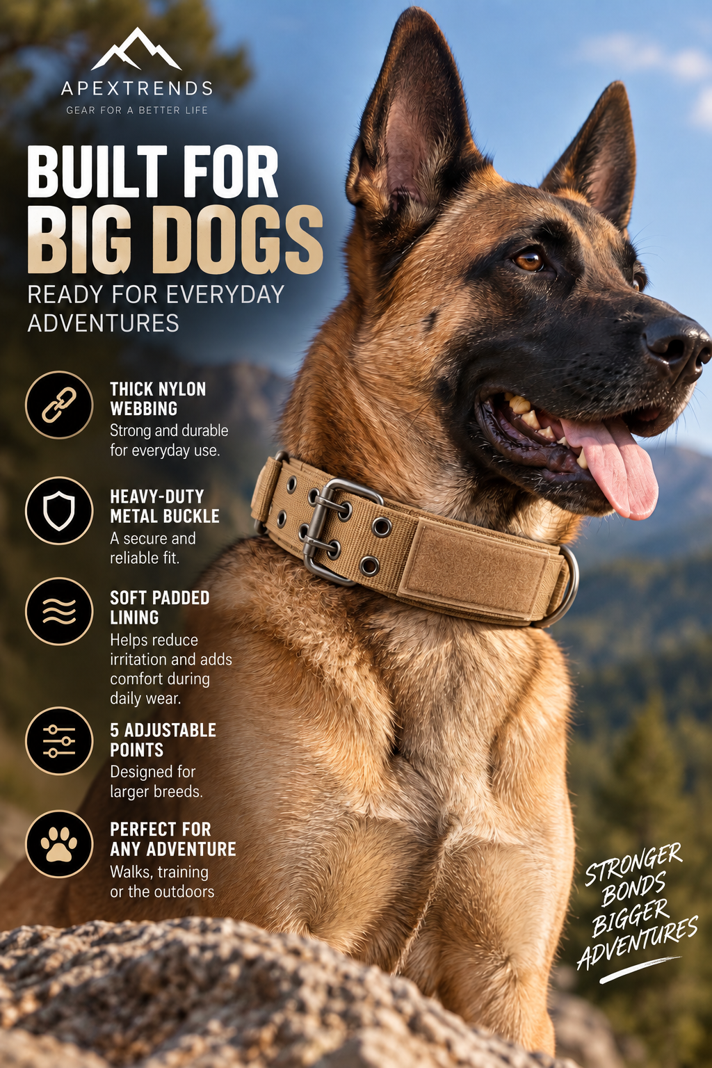 Heavy-Duty Nylon Dog Collar with Metal Buckle
