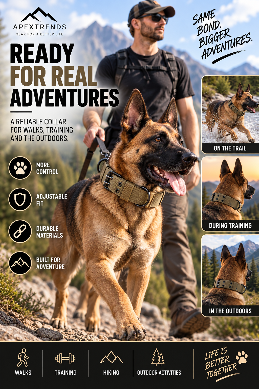 Heavy-Duty Nylon Dog Collar with Metal Buckle