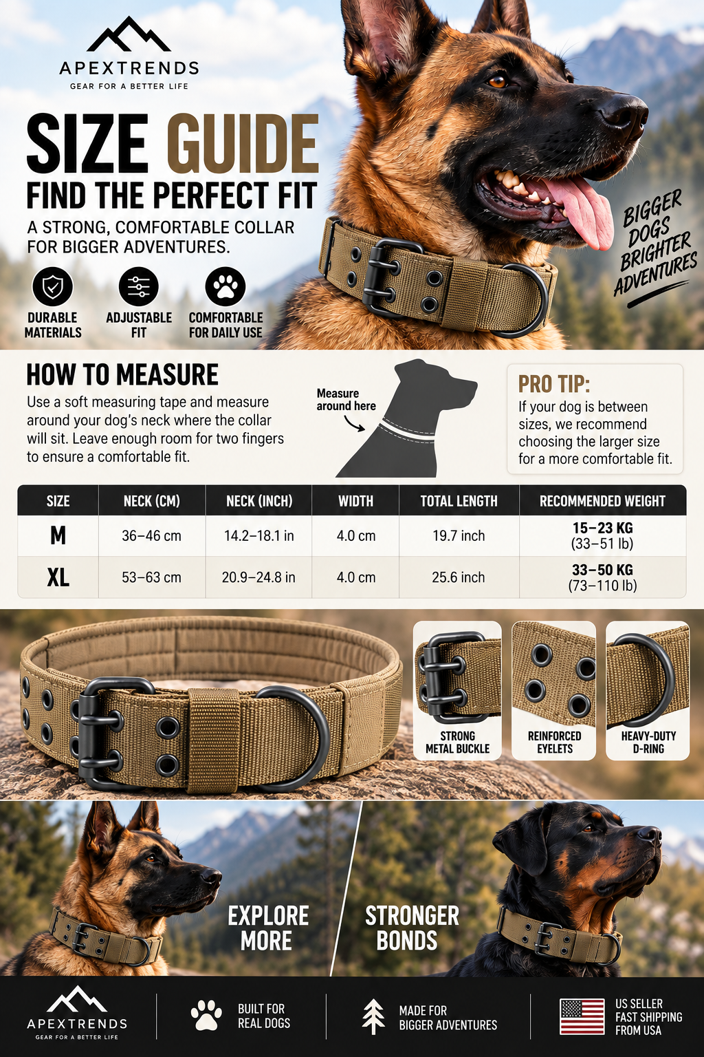 Heavy-Duty Nylon Dog Collar with Metal Buckle